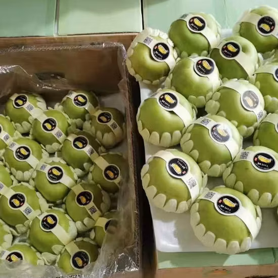 Органические яблоки высочайшего качества, производство Италия «Свежие яблоки, хрустящие фрукты».