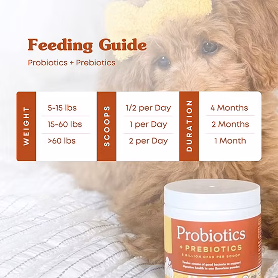 Усовершенствованный натуральный пробиотический порошок максимальной силы, разработанный ветеринаром, органические сертифицированные пробиотики для собак и кошек